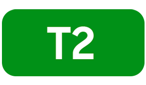 T2