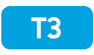 T3