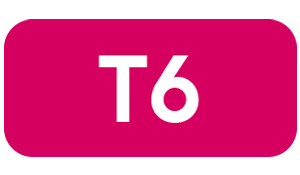 T6
