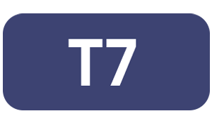 T7